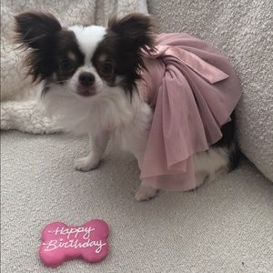 Meet your Posher, Kirsten